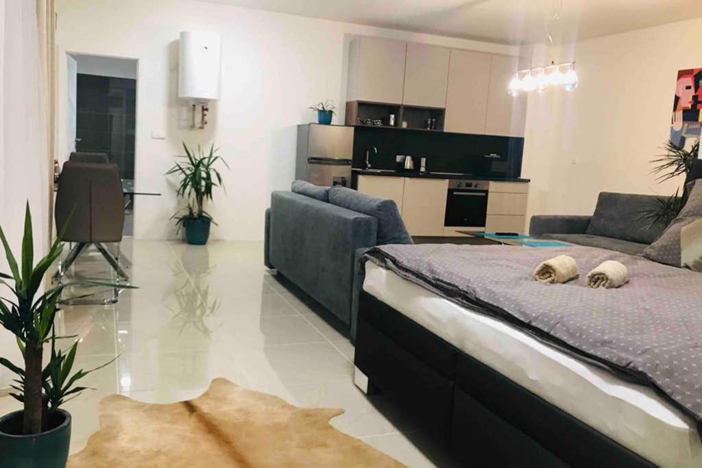 Apartment Right In The Center Of Brno Exteriör bild